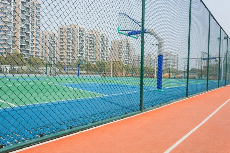 Cricket Net Basketball